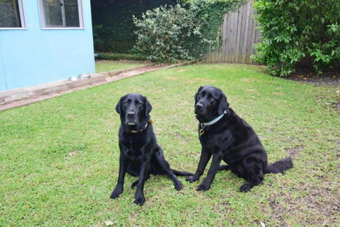 GERR14C - Salty Dog - Accommodation Search 3