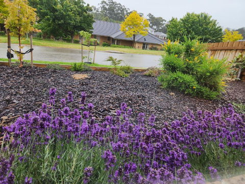 Getaway On Amaroo Way - Accommodation Search 1