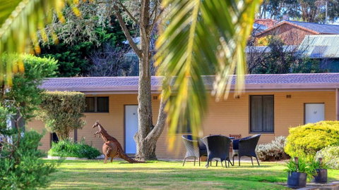 Hamilton Hume Motor Inn - Accommodation Search 1