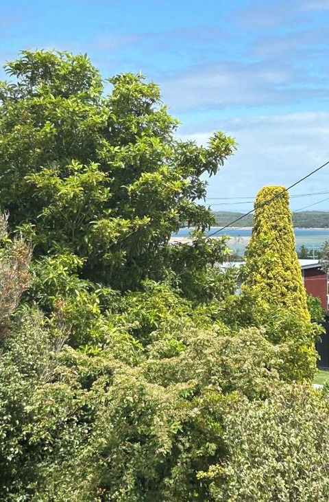 Iconic Beach House On Bruce - Accommodation Search 1