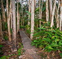Agnes Palms Accommodation - Accommodation Search