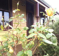Albion Cottage - Accommodation Search