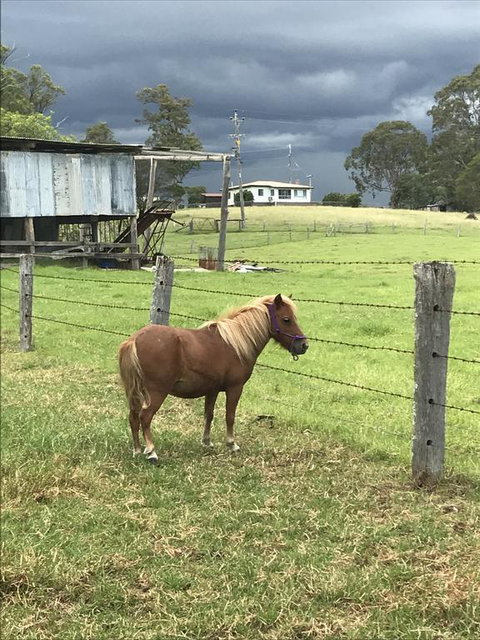 AMs Farm Stay - Accommodation Search 0