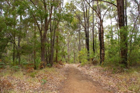 Ashleigh - Accommodation Search 2