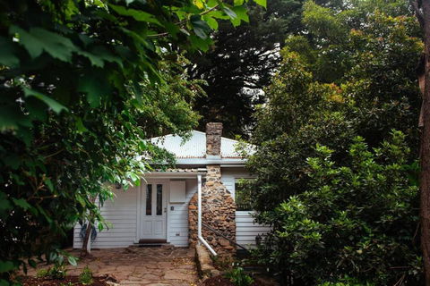 Luxury Treetop Escape With A Garden Glasshouse - Accommodation Search 3