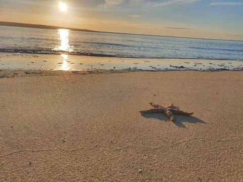 Matildas Of Kangaroo Island - Accommodation Search 1