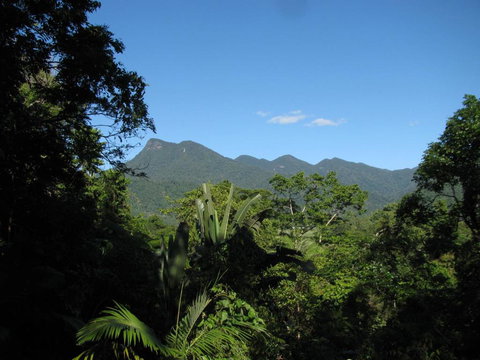 Mossman Gorge Bed And Breakfast - Accommodation Search 0
