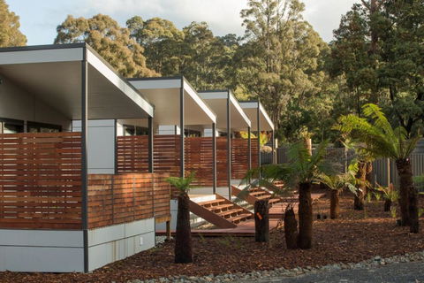 Mt Field Retreat - Accommodation Search 0