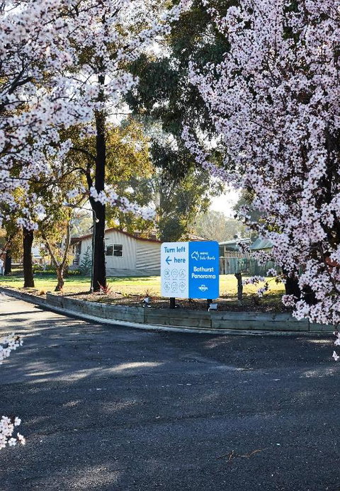 NRMA Bathurst Panorama Holiday Park - Accommodation Search 1