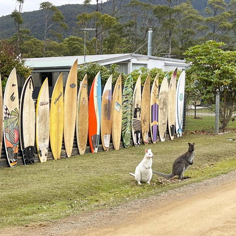 NOFOMO AT ADVENTURE BAY - Accommodation Search 0