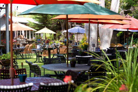 Oakdene Vineyards Guesthouse - Accommodation Search 0