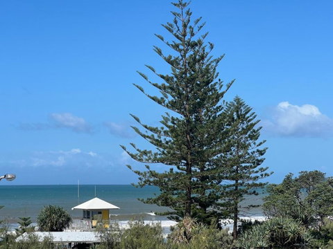 Ocean View - Alexandra Headlands Beachfront Unit - Accommodation Search 3