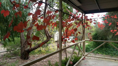 Padthaway Caravan Park - Accommodation Search 1