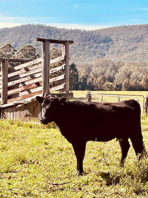 Peppercorns Riverside Farm Stay - Accommodation Search 0