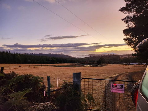 Pine Edge Heights By Tiny Away - Accommodation Search 2