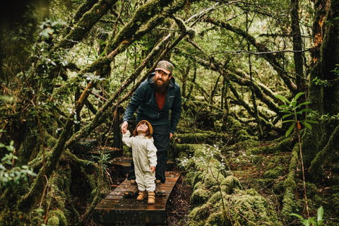 Pine Edge Heights By Tiny Away - Accommodation Search 3