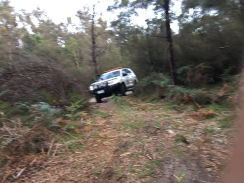 PNL4WDriving Bairnsdale Hub - Accommodation Search 0