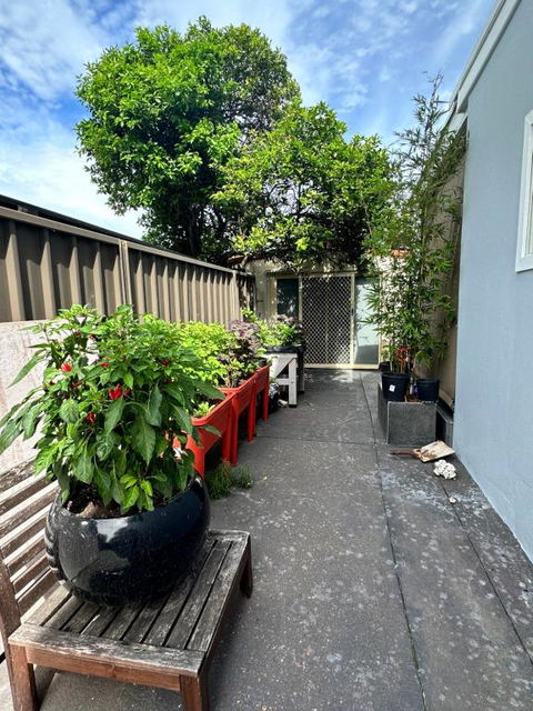 Private, Local Living Studio In Mascot, Airport - Accommodation Search 2