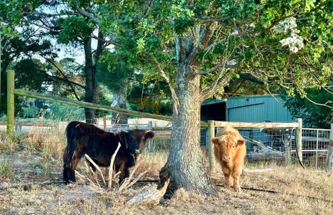 Private, Secluded Farm Retreat - Accommodation Search 3
