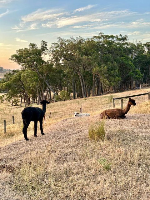 Private, Secluded Farm Retreat - Accommodation Search 2