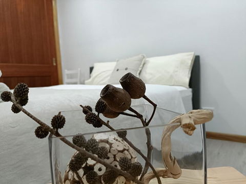 Quiet Nature-Filled Ground Floor Unit - Accommodation Search 1
