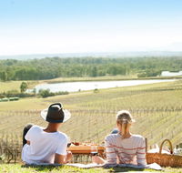 Audrey Wilkinson Vineyard - Accommodation Search