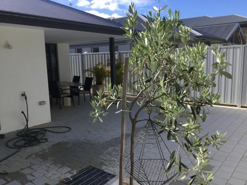Azure@Ramada - Accommodation Search 1