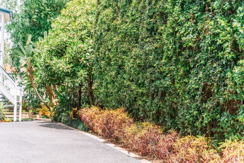 Balmoral Queenslander - Accommodation Search 3