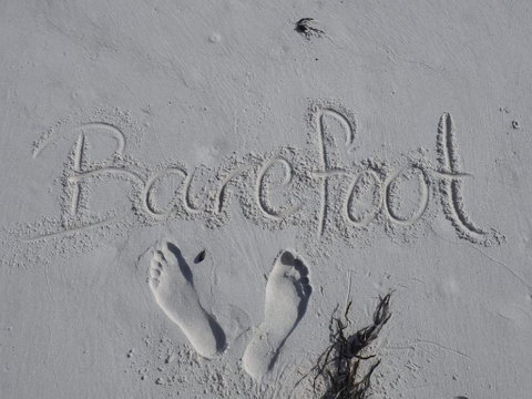 Barefoot Beach House - Accommodation Search 0