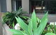 Baulkham Hills - thumb 3