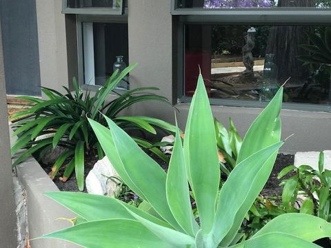Baulkham Hills - Accommodation Search 3