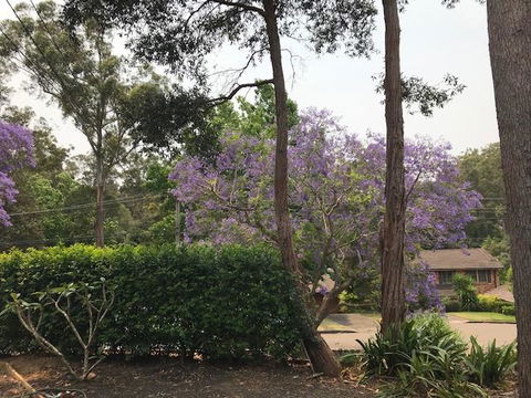 Baulkham Hills - Accommodation Search 2
