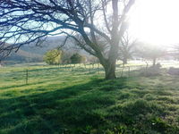 Book Dadswells Bridge Accommodation Vacations Accommodation Search Accommodation Search