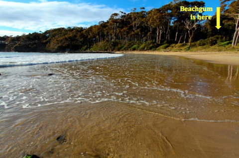 Beachgum - Accommodation Search 2
