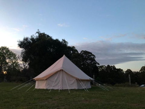 Relaxing Bell Tent In Northern NSW - Accommodation Search 1