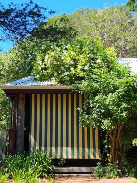 Redgum Hill Country Retreat - Accommodation Search 3