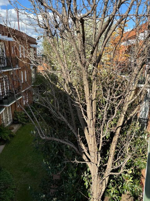 Regents Gate East Melbourne - Accommodation Search 1