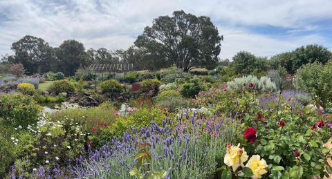 River Gardens Axedale Pet Friendly Farmstay B&B - Accommodation Search 0