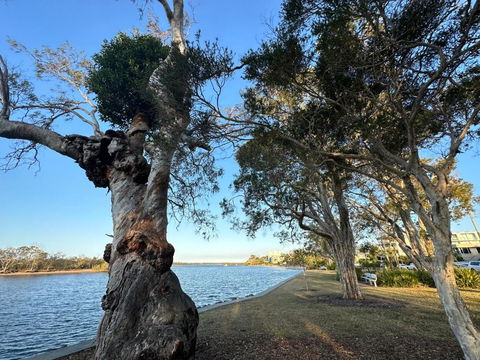 River Gum Apartment - Accommodation Search 2