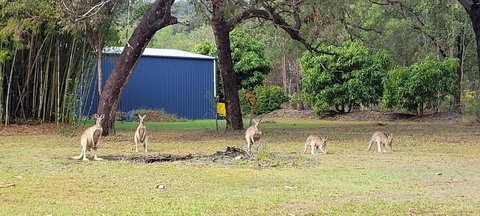 Roo Or 2 On Streeter - Accommodation Search 0
