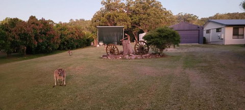 Roo Or 2 On Streeter - Accommodation Search 1