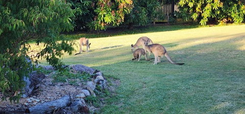Roo Or 2 On Streeter - Accommodation Search 3