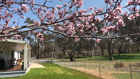 Rosewood Cottage - Accommodation Search 3