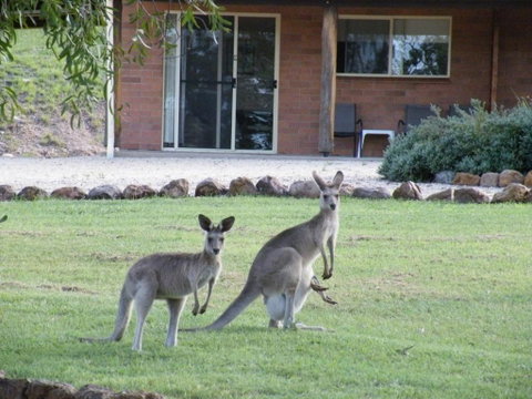 Rubyvale Motel & Holiday Units - An Adults Only Getaway - Accommodation Search 3