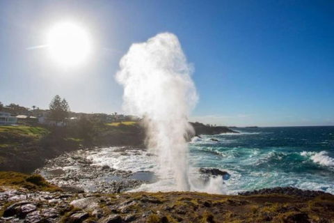 SALTY SOUL KIAMA - Tiny House By The Ocean - Accommodation Search 3