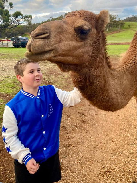 Sandalwood Downs Fabulous Farm Stay TOODYAY - Accommodation Search 1