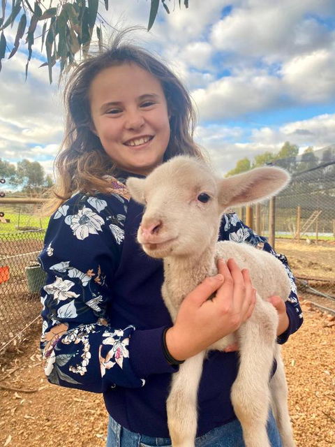Sandalwood Downs Fabulous Farm Stay TOODYAY - Accommodation Search 2