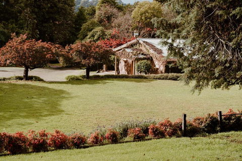 The Cherry Blossom Suite - Accommodation Search 3