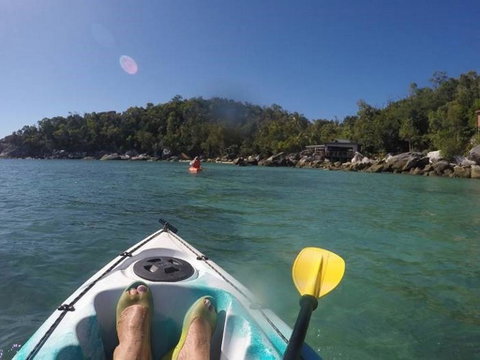 Bedarra Island Treetop Hideaway - Accommodation Search 2