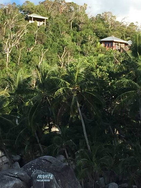 Bedarra Island Treetop Hideaway - Accommodation Search 3